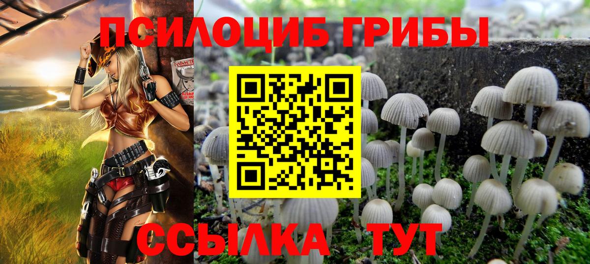 как найти   Псилоцибиновые грибы Magic Shrooms  Галлюциногенные грибы прущие грибы  Вход с VPN  Ликино-Дулёво 